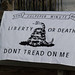 John Derosa Photo 46