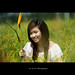 Khang Pham Photo 37