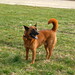 Winston Shepard Photo 14