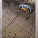 Allen Small Photo 26