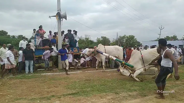 Venkata Bandi Photo 16