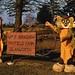 Helen Bradish Photo 13