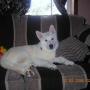 Sandra Holt Photo 30