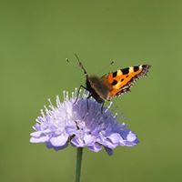 Paul Doman Photo 3