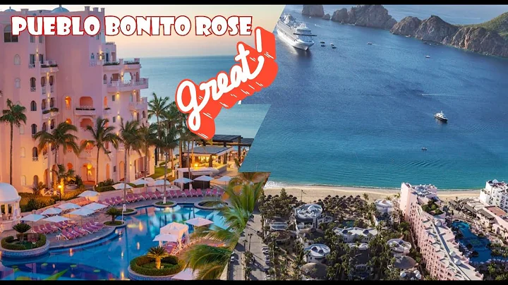 Bonita Rose Photo 15