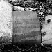 Mary Elston Photo 30
