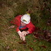 John Beecham Photo 34