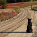 Maggie Heard Photo 15
