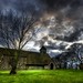 Brian Harty Photo 33