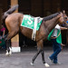 Beverly Paddock Photo 22