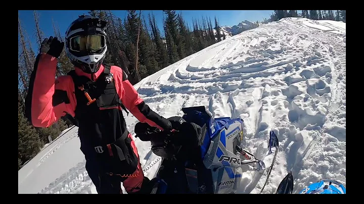 Curtis Brandt Photo 21