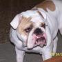 Vickie Childress Photo 14