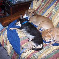 Charles Kraus Photo 10