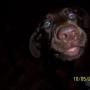 Eddie Hogan Photo 18