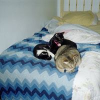 Cathy Ritter Photo 2