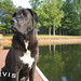 Roxie Williams Photo 40