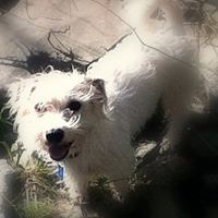 Charlie Avery Photo 3