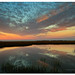 Robert Toler Photo 41