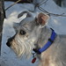 Zachary Peek Photo 17