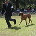 Glenn Belton Photo 18