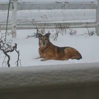 Joel Schmitz Photo 7
