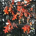 Garry Mills Photo 38