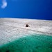 Gustavo Paredes Photo 43