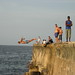 Adam Harrell Photo 37