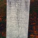 Robert Wotring Photo 22