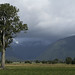 Joseph Matheson Photo 27
