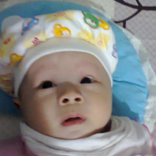 Minh Quan Photo 11