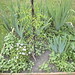 Rebecca Plant Photo 30