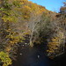 Glen Lockwood Photo 16