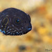 Brian Puffer Photo 20