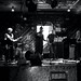 Roger Lucey Photo 11