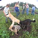 Stacey Moffitt Photo 32