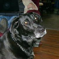Theresa Mcduffie Photo 1