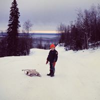 Robert Roulston Photo 3