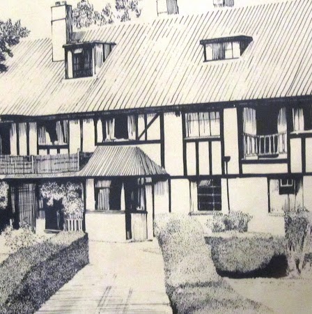 Ann Saunders Photo 10