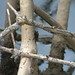 Ann Kolb Photo 31