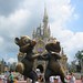 Dale Castle Photo 30