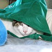 Victor Green Photo 41