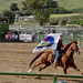 Luis Vaquera Photo 33