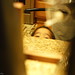 Nicholas Boos Photo 22