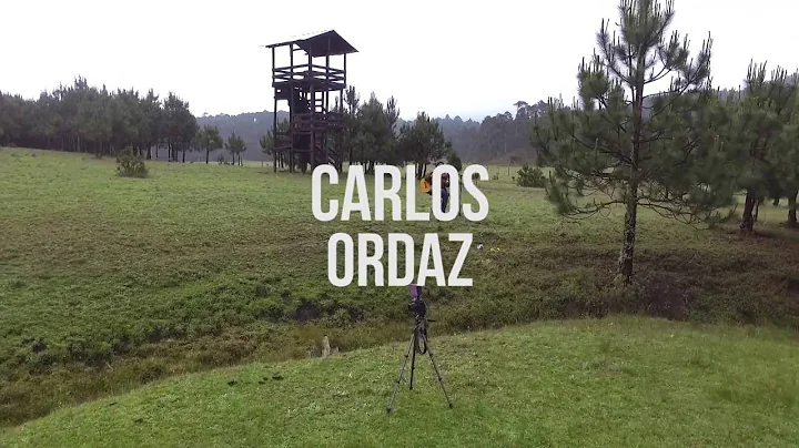 Carlos Ordaz Photo 25