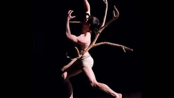 Lloyd Sobel Photo 11