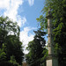 Richard Stowe Photo 38