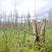 Amy Willoughby Photo 34