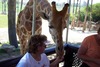 Kathy Hoffman Photo 28