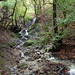 Teresa Parks Photo 43